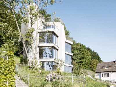 山坡集合住宅，瑞士