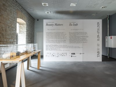 2019年塔林建筑双年展“Beauty Matters”开幕