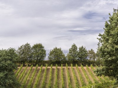 Borgo Merlassino度假区，意大利