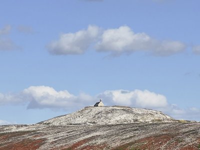 Saint-Michel de Brasparts小教堂，法国 / Ronan Bouroullec