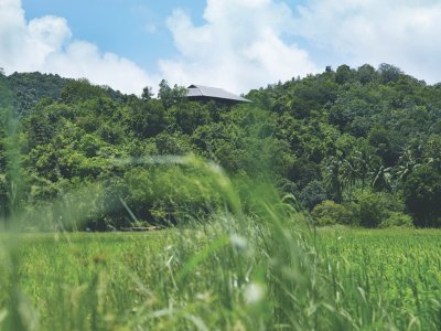 用回收的旧电线杆建造的房子，马来西亚