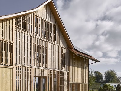 住宅改建项目，瑞士