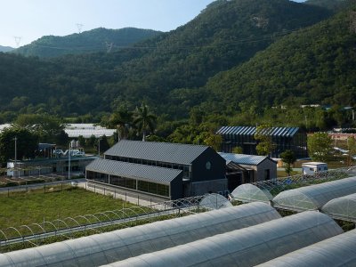 三秀山知青房修缮改造，厦门 / 隅建筑工作室+东南乡建
