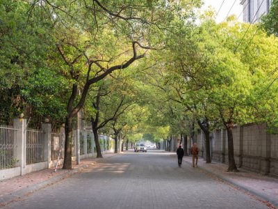 梅香漫道：上海徐汇虹梅街道宜州路及全州路景观微更新