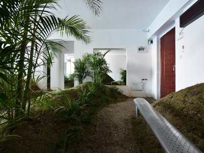 退化公园，厦门