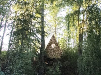 鸟屋，加拿大