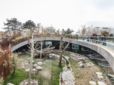 混凝土构筑的抽象几何空间：Atelier 11办公楼 / Atelier 11