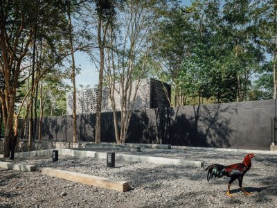 红木林中的黄色潜水艇咖啡馆 | SECONDFLOOR ARCHITECTS