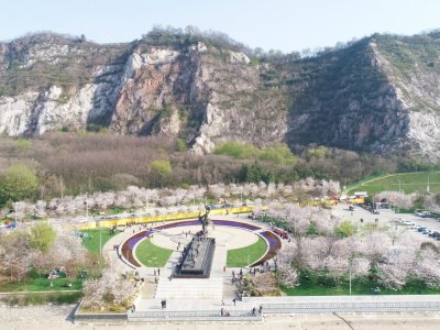 南京市幕燕滨江风光带樱花观赏区建设项目