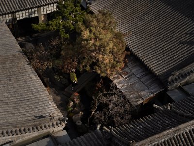 春山望火锅店，山西 / 空山集
