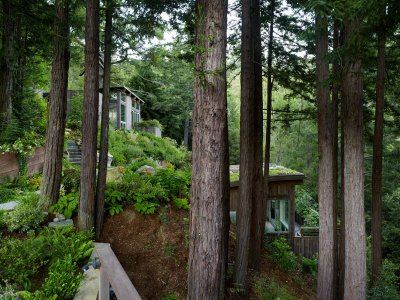 米尔谷小屋，美国加州