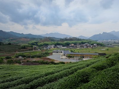 武夷山竹筏育制场设计，福建