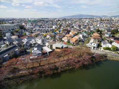 Triton住宅，日本大阪