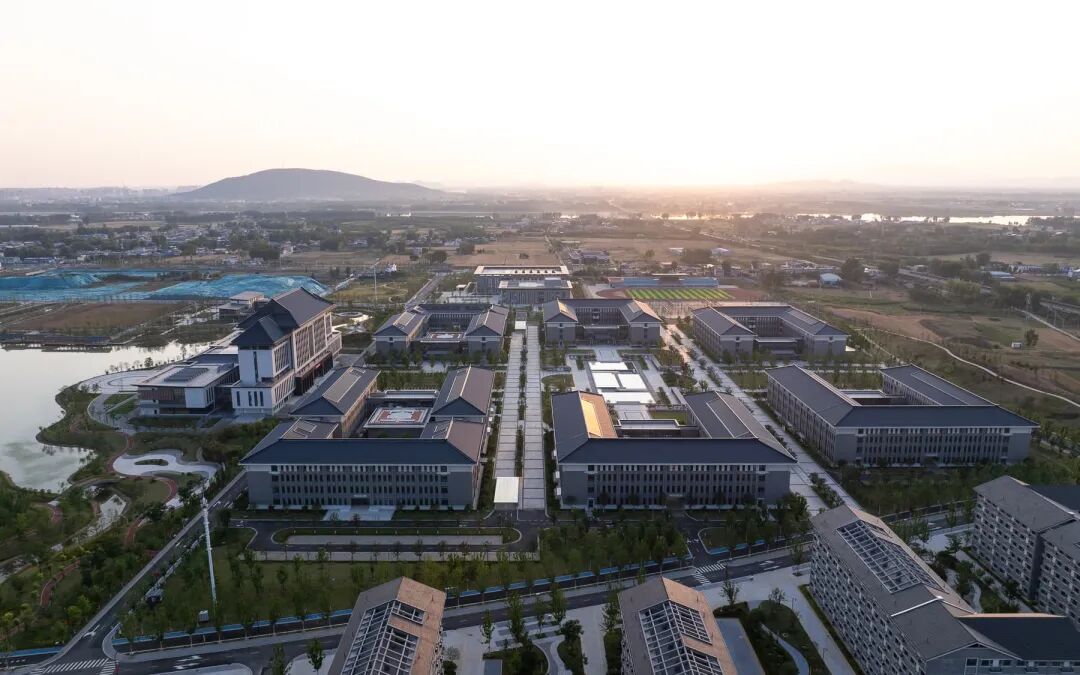 图书馆外观细部嵌入中草药元素,体现校园文化特色