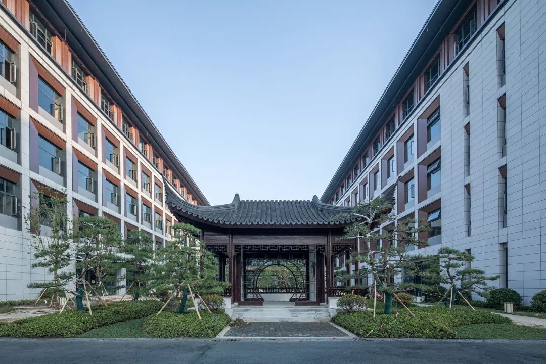 传承发展轴分析图
