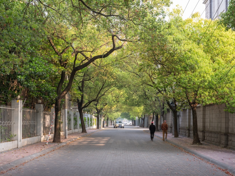 梅香漫道：上海徐汇虹梅街道宜州路及全州路景观微更新