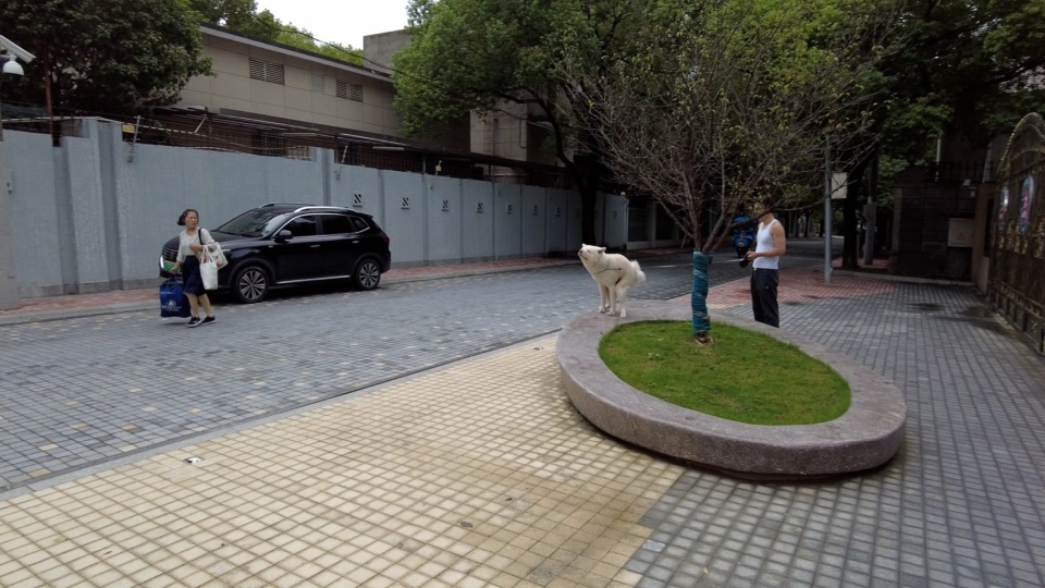 预览 14