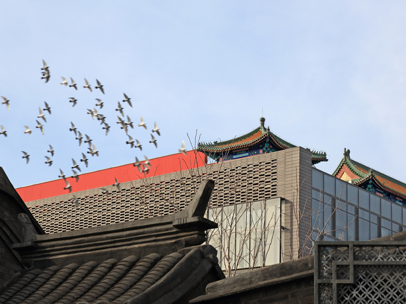 隆福寺地区街区更新