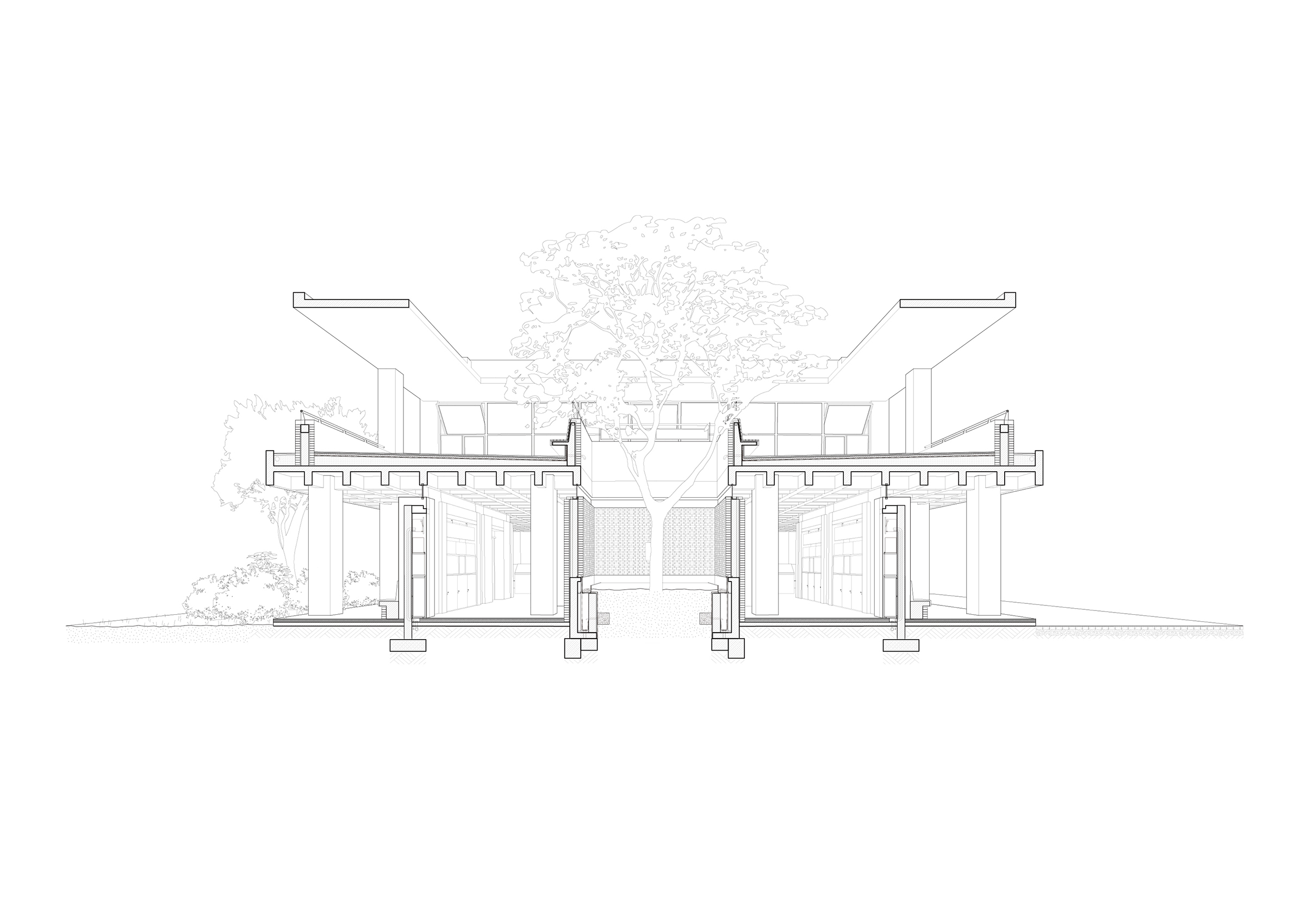 预览 51