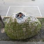 预览 7