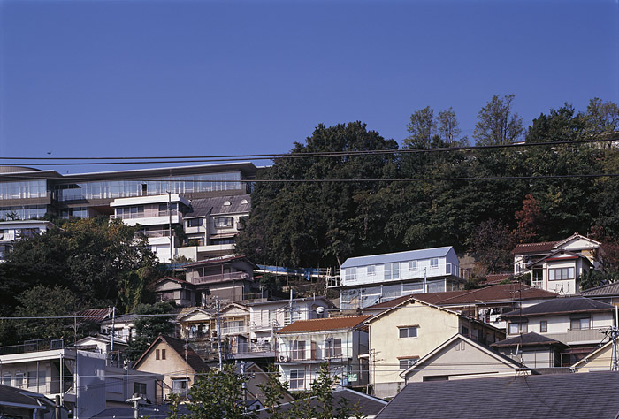 预览 7