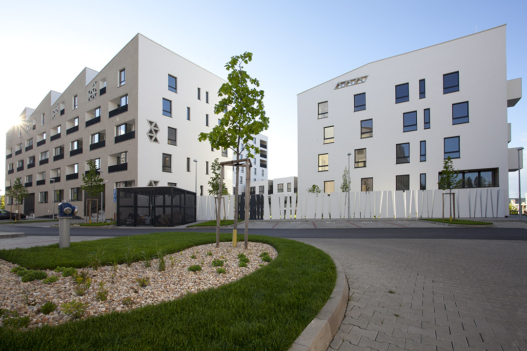 预览 6
