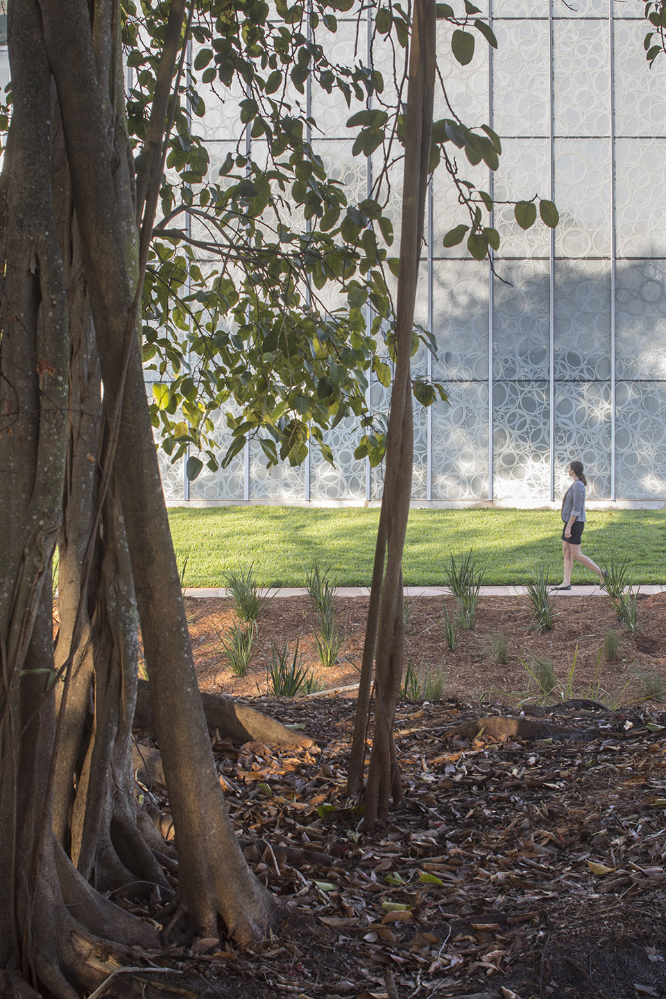 预览 6