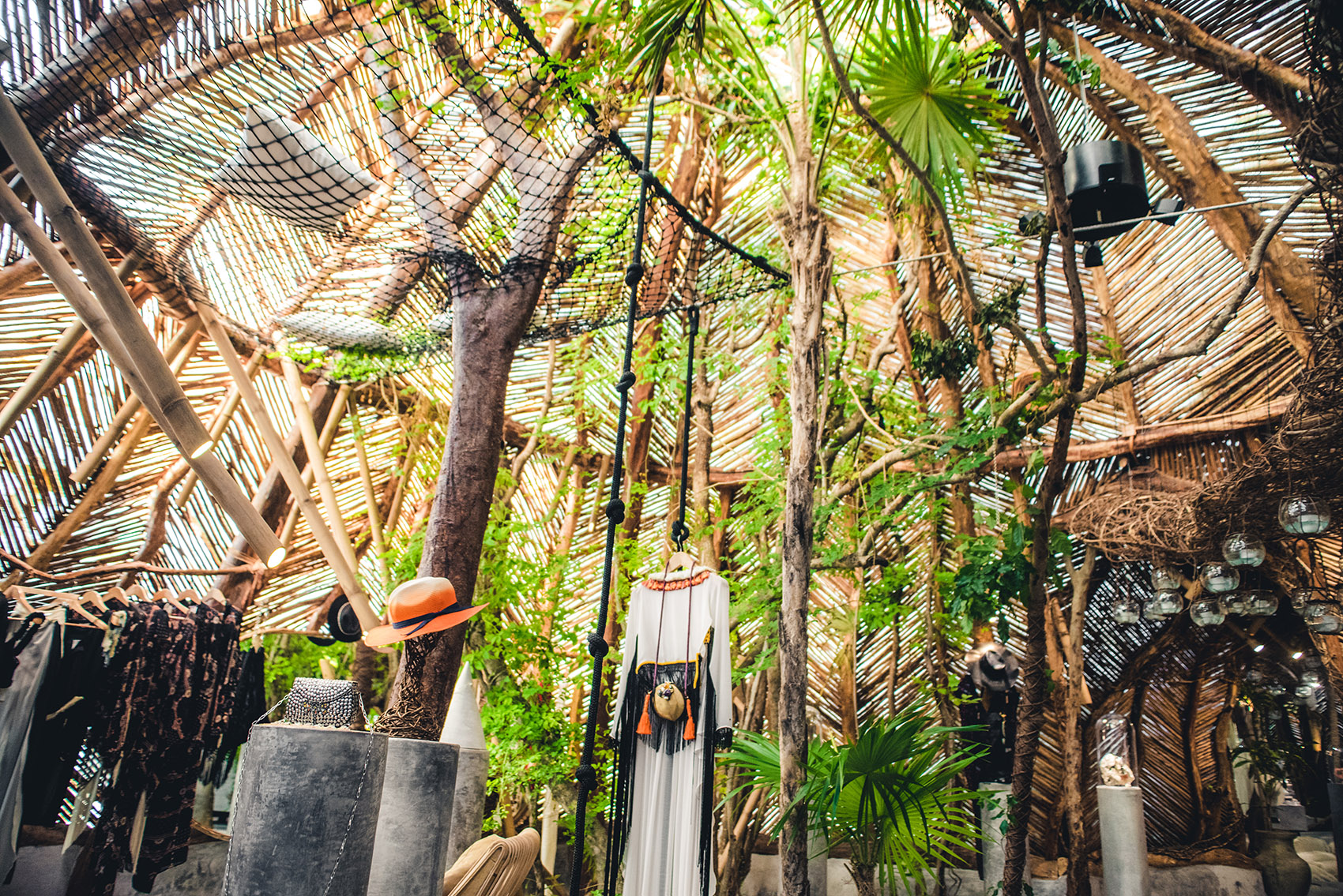 预览 6