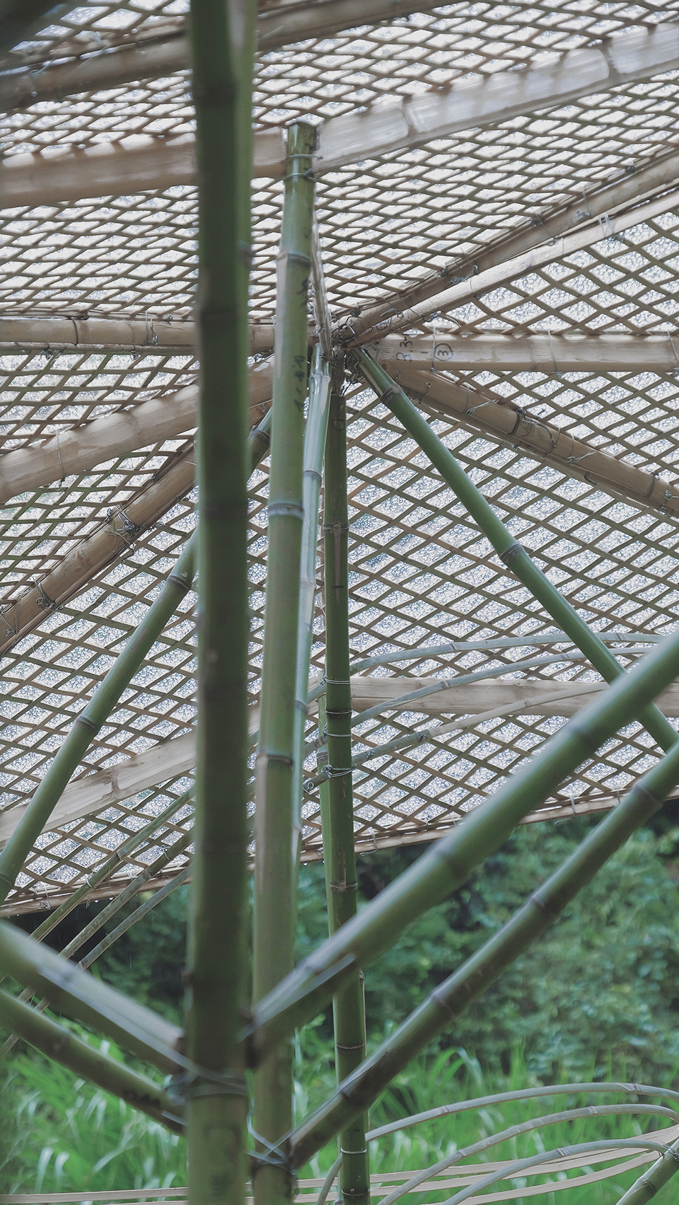 预览 8