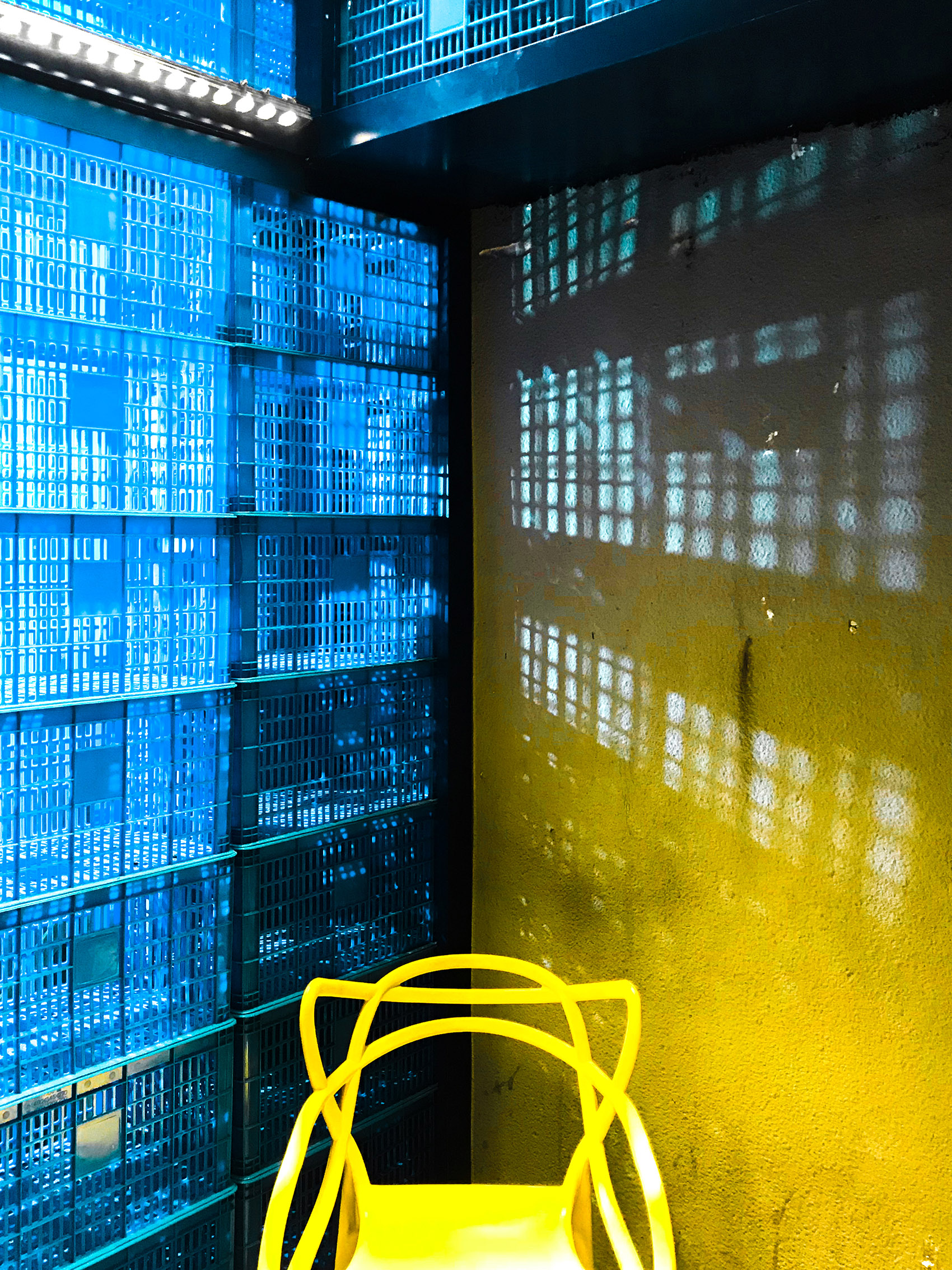 预览 9