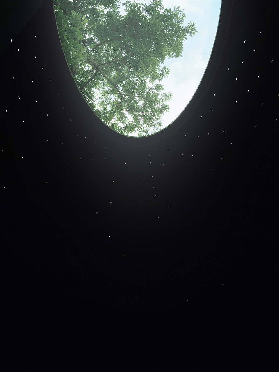 预览 7
