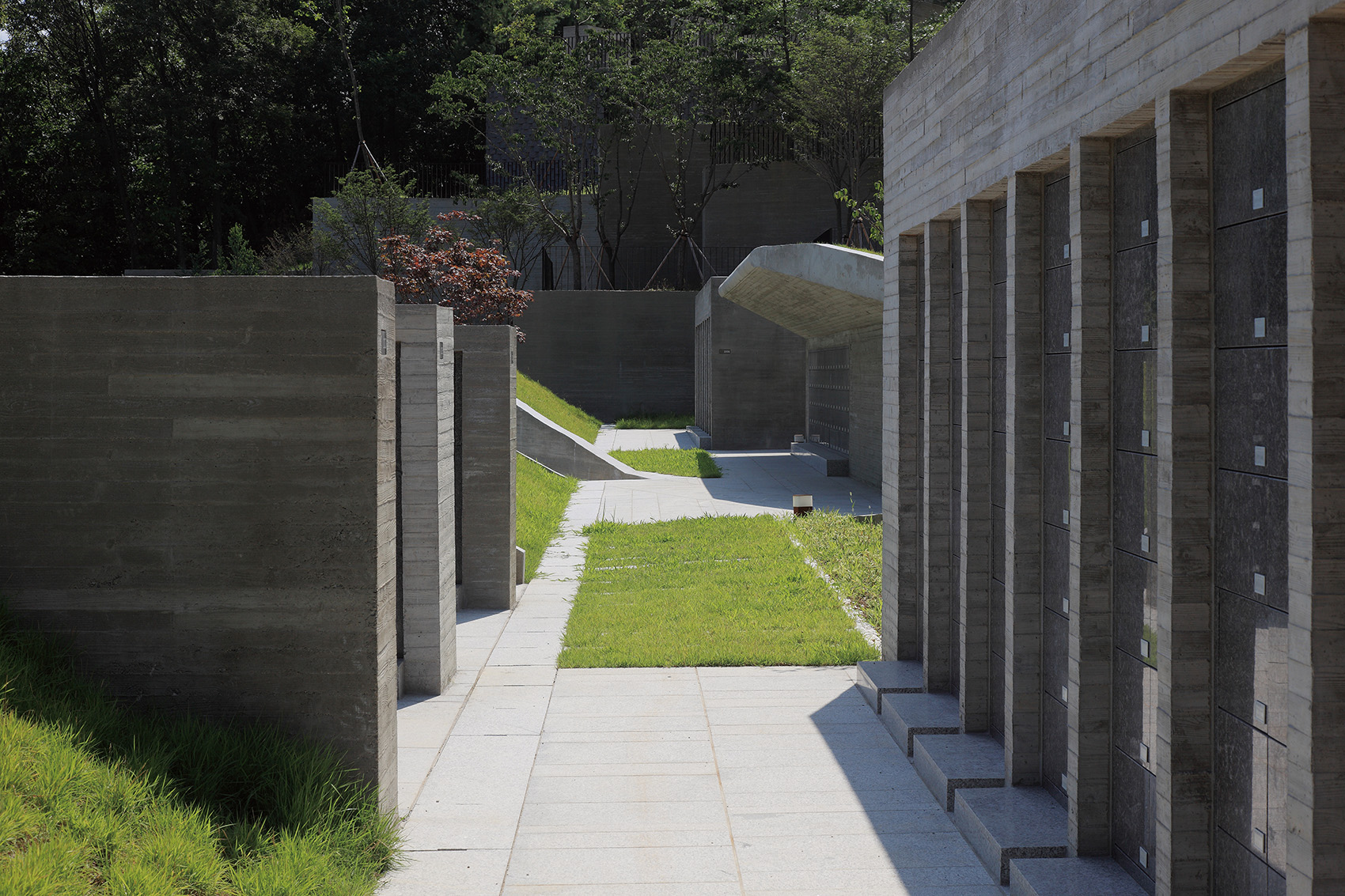 预览 7