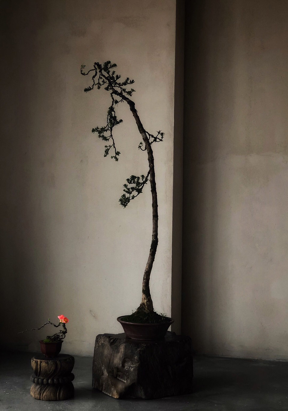 预览 8