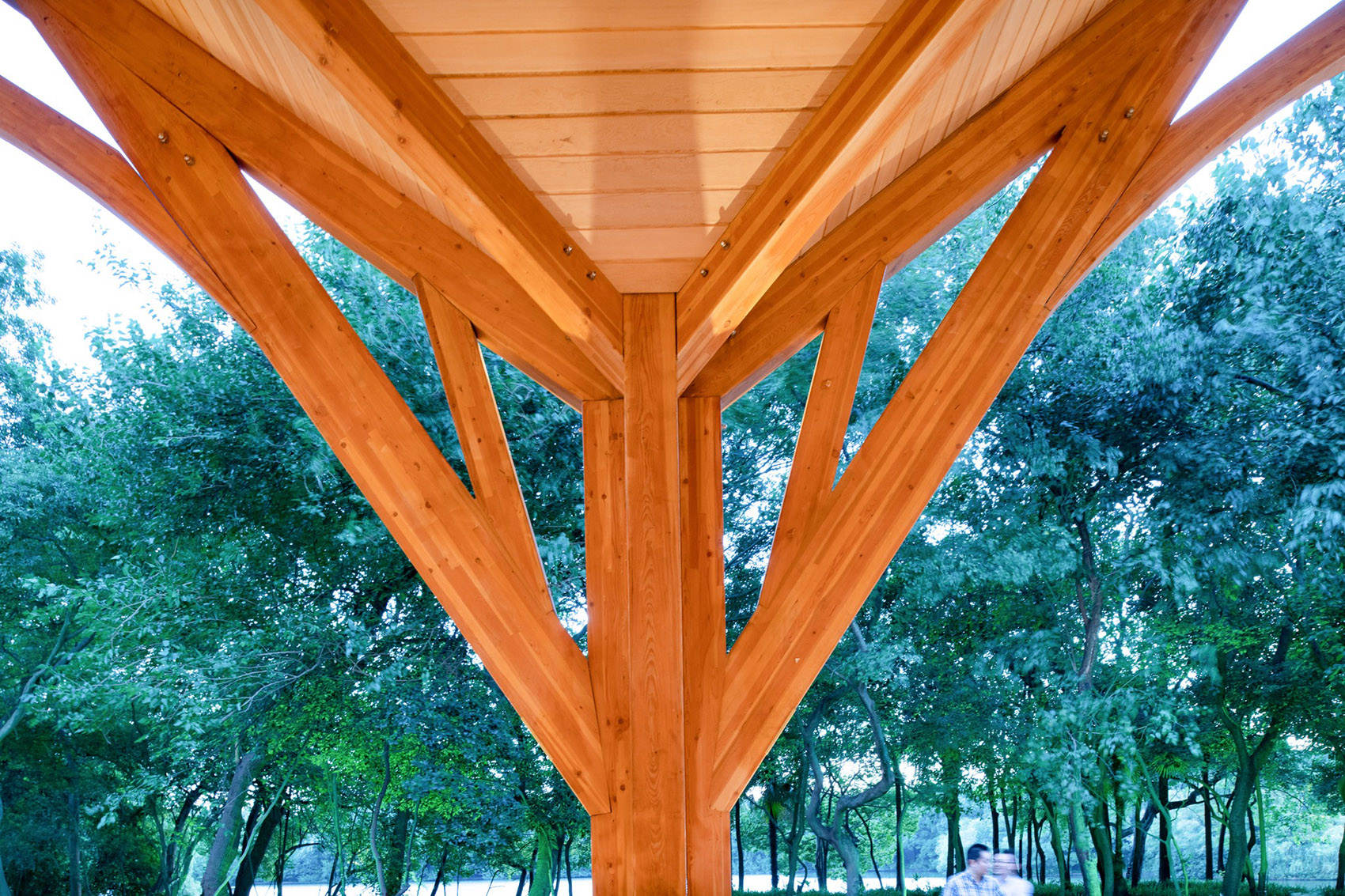预览 7