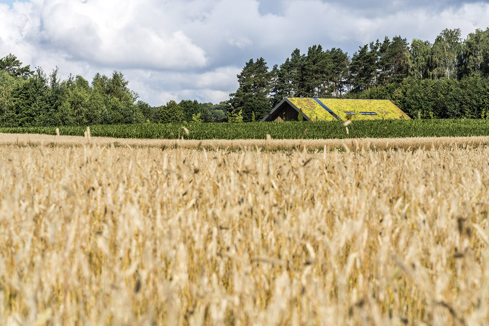 预览 6