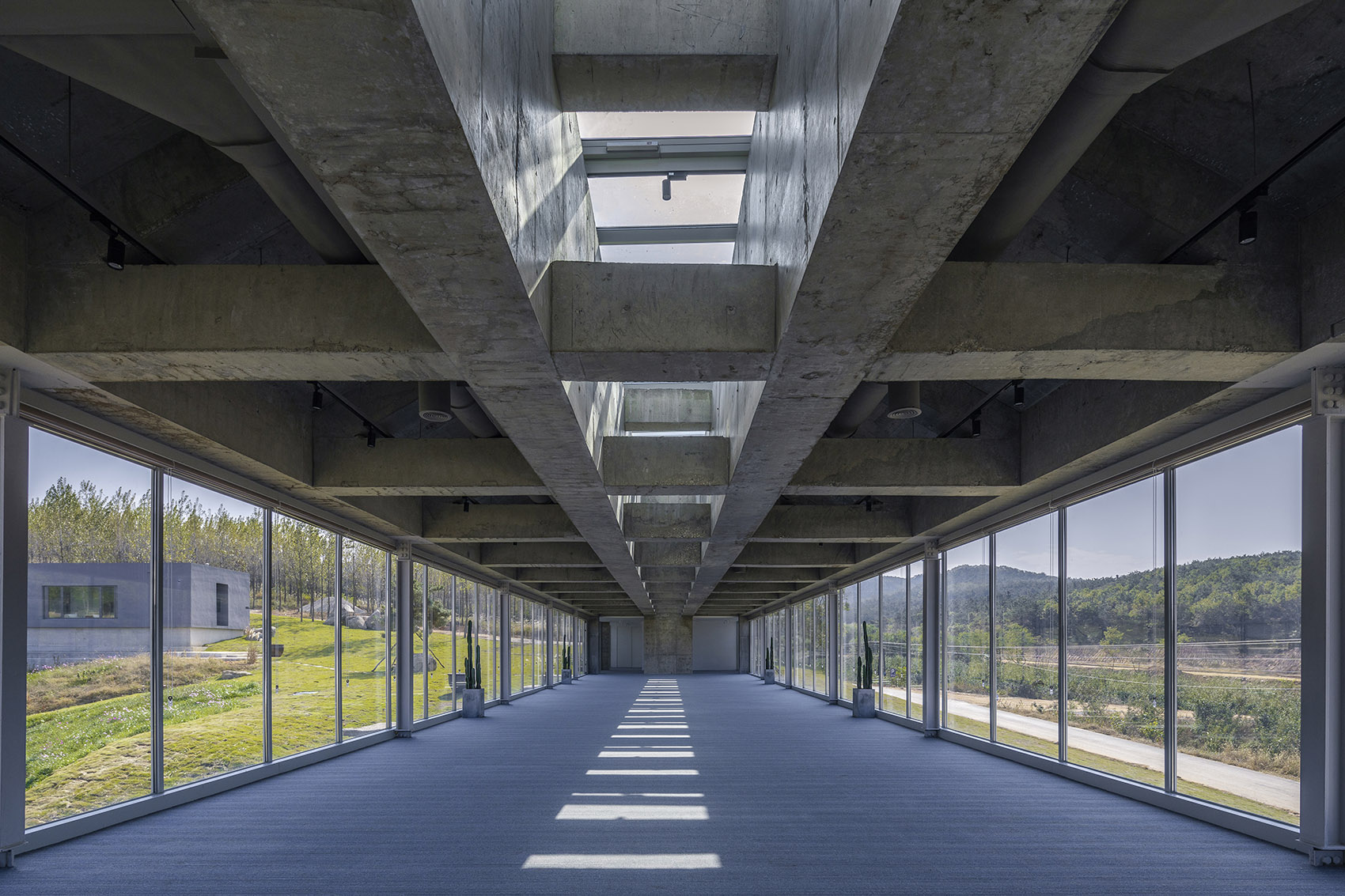 预览 6