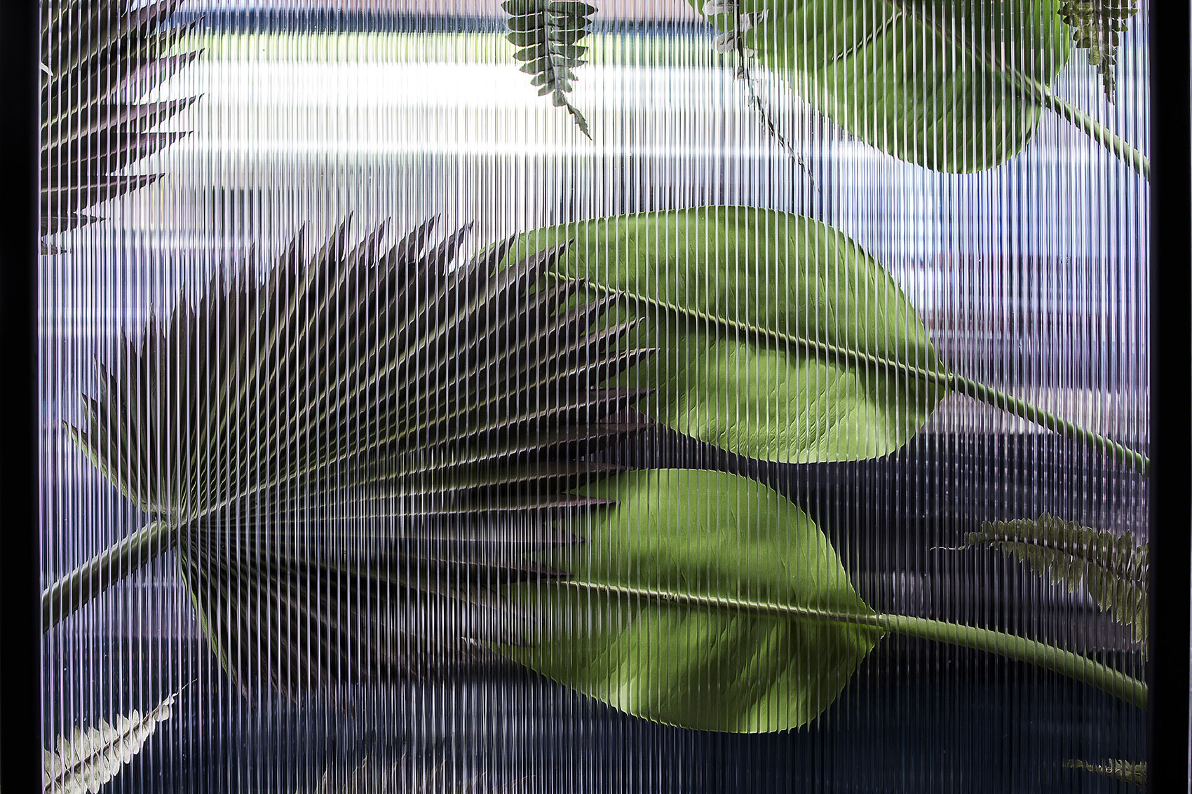 预览 7