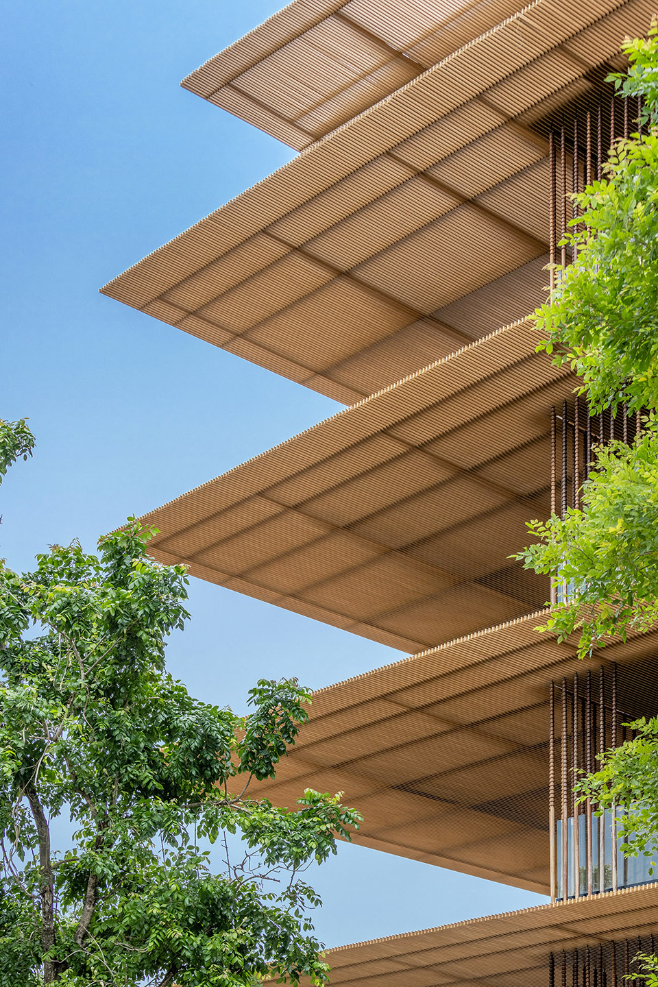 预览 6