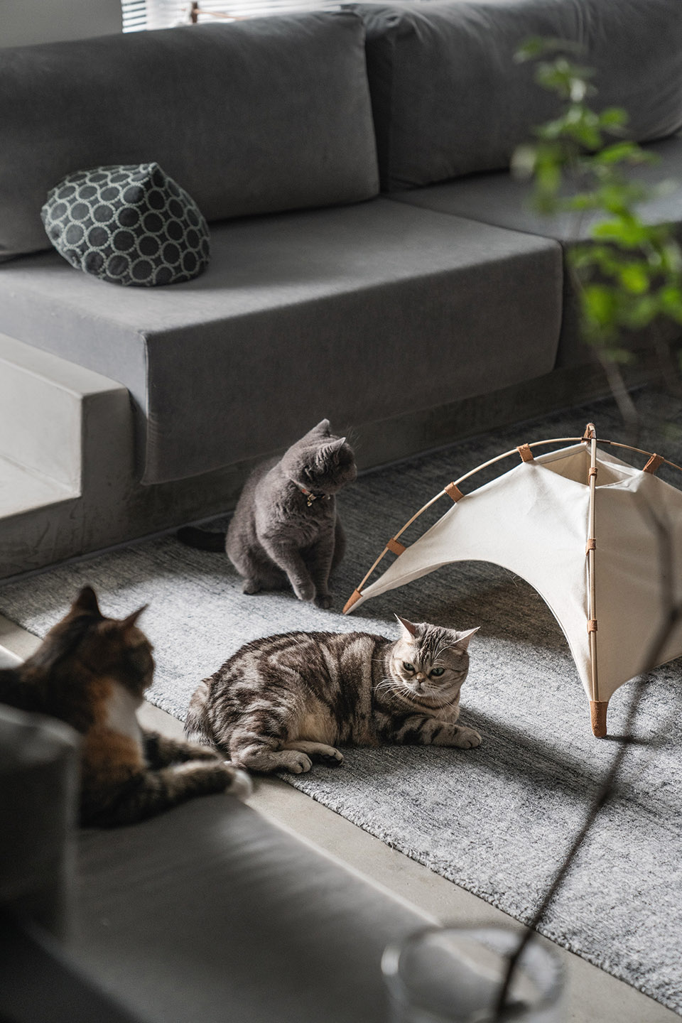 预览 9