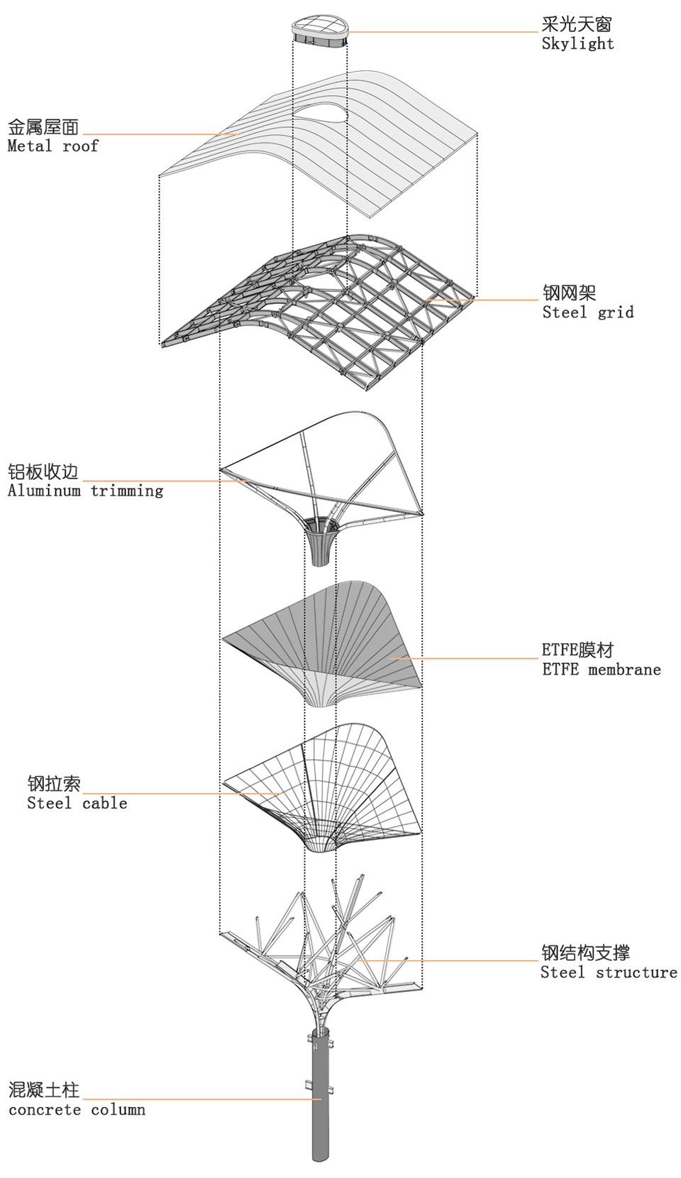 预览 8