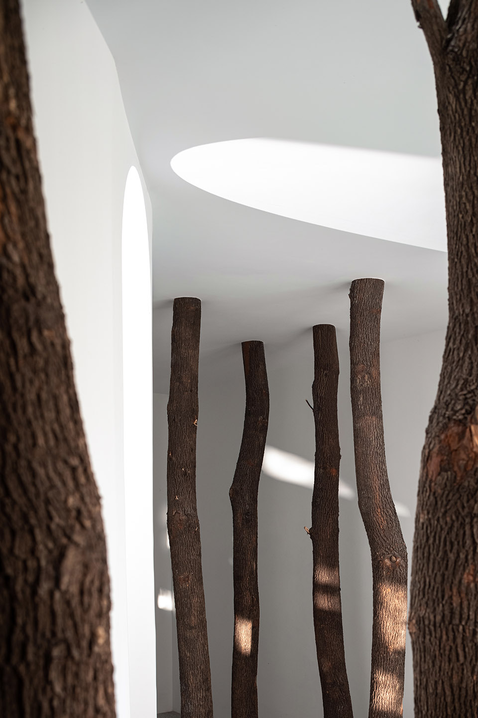 预览 6