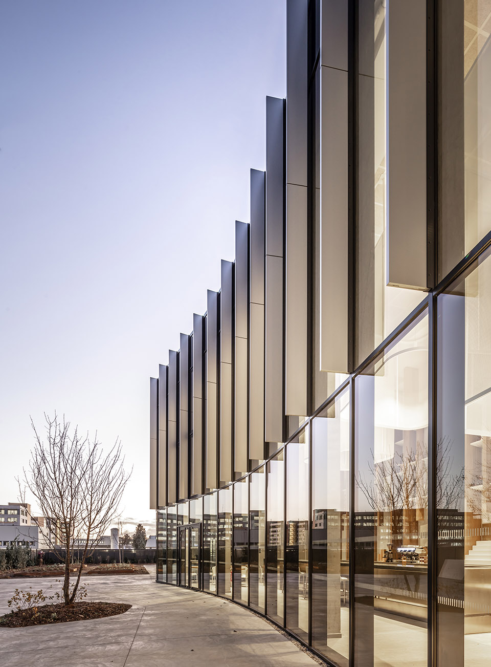 预览 6