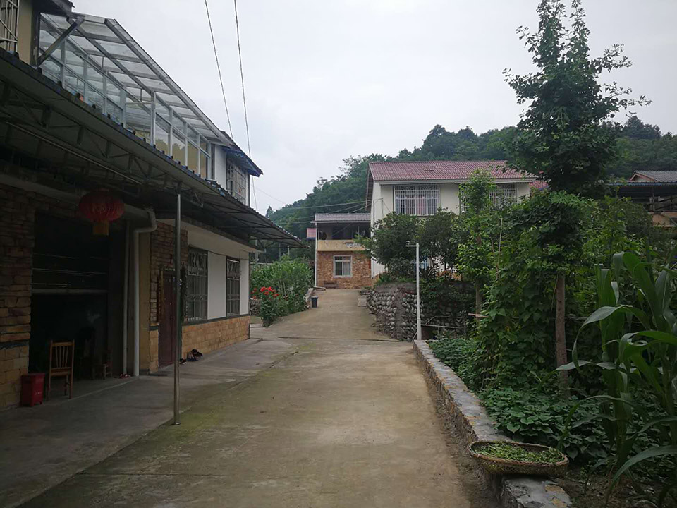 预览 8