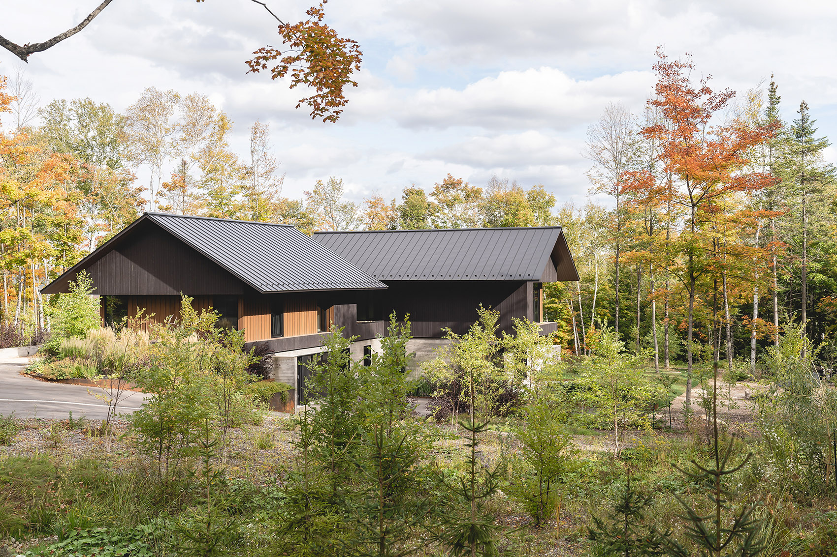 Koya住宅，蒙特利尔 / Alain Carle Architecte Inc.