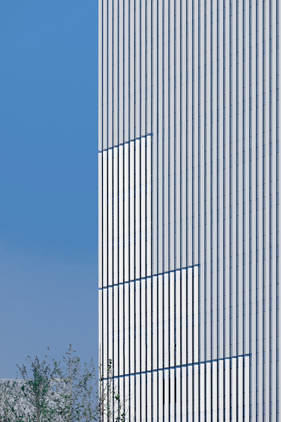预览 8