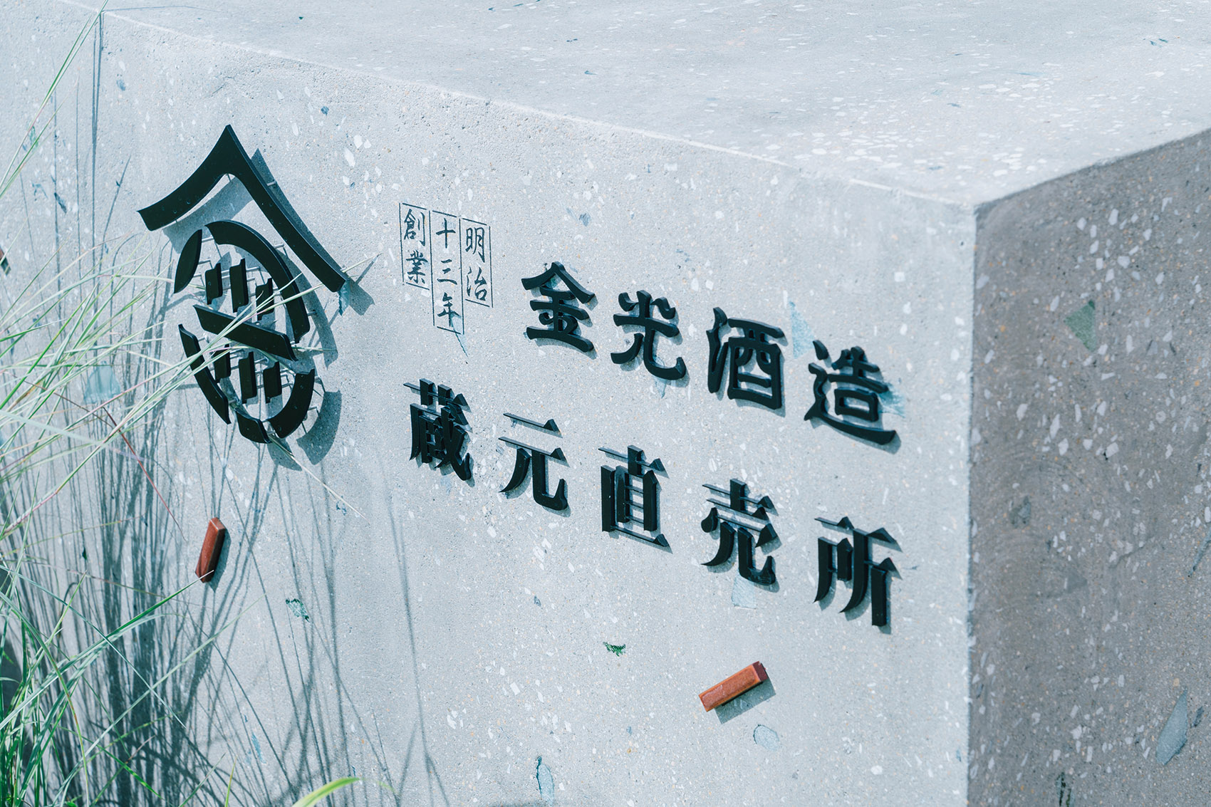 预览 6