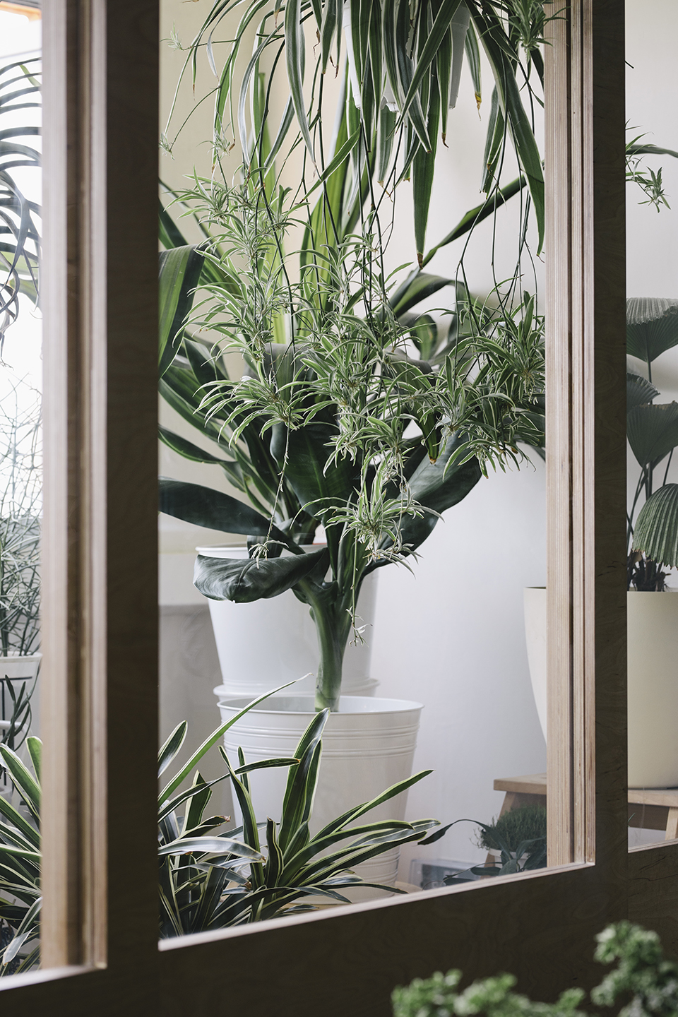 预览 8