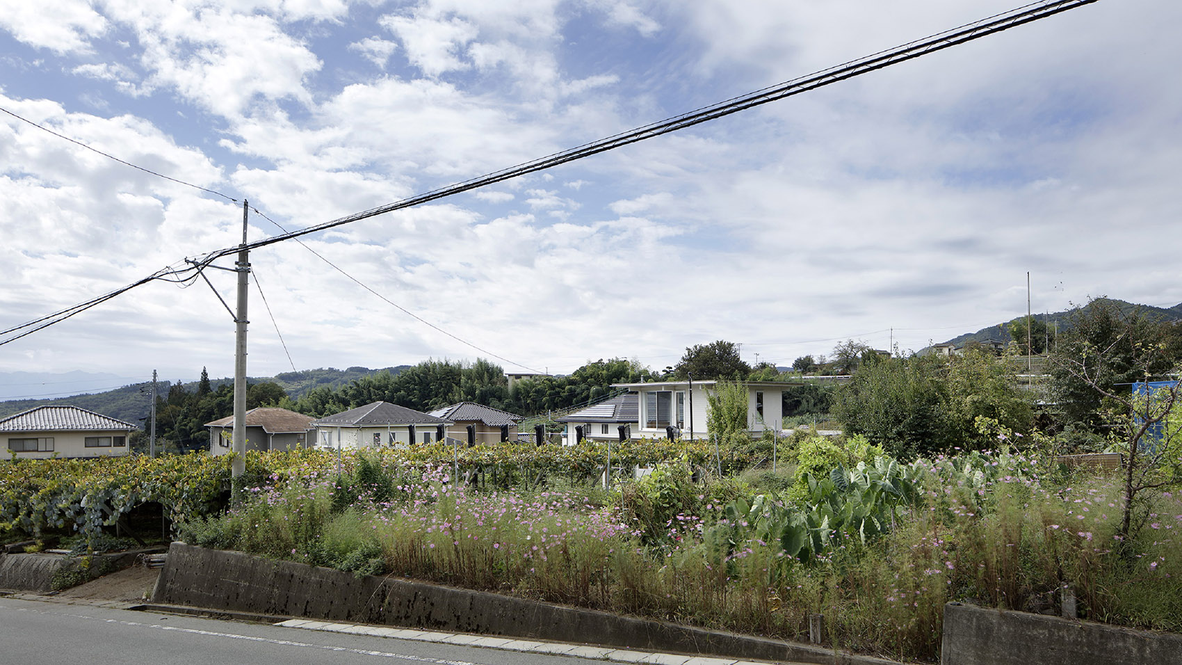 住宅O，日本 / SAKUMAESHIMA