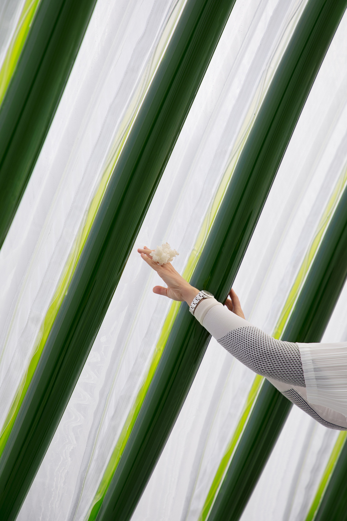 预览 6