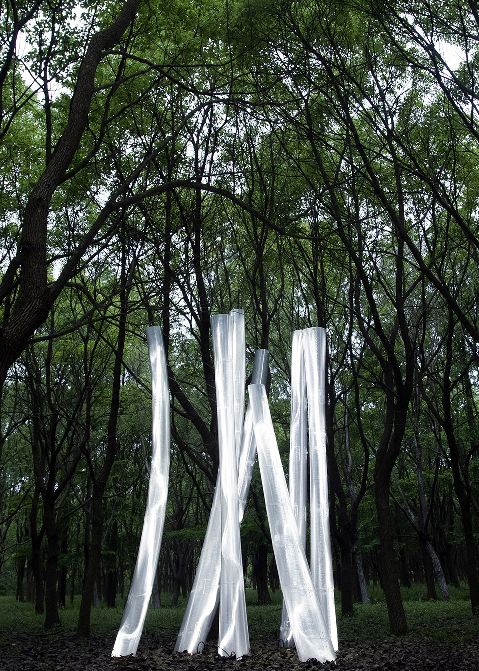 预览 6